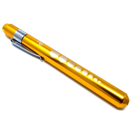 A2Z Scilab GOLD Reusable NURSE Penlight Pocket Medical LED with Pupil Gauge A2Z-ZR590